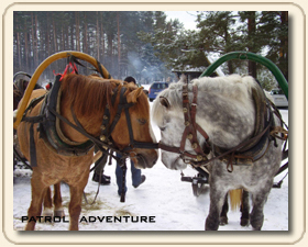 Patrol Adventure_zima kulig